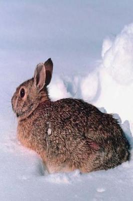 Cover of Journal Furry Rabbit In Snow