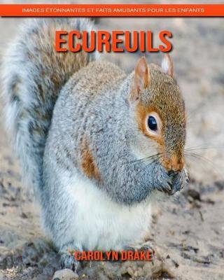 Book cover for Ecureuils
