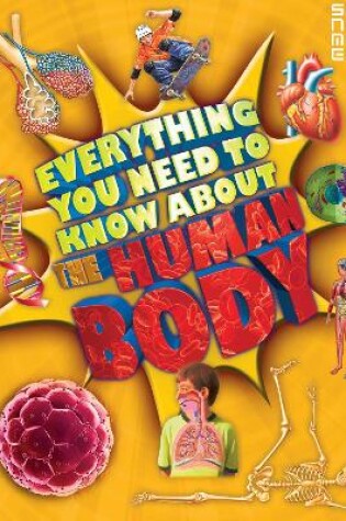 Cover of Everything You Need To Know About The Human Body