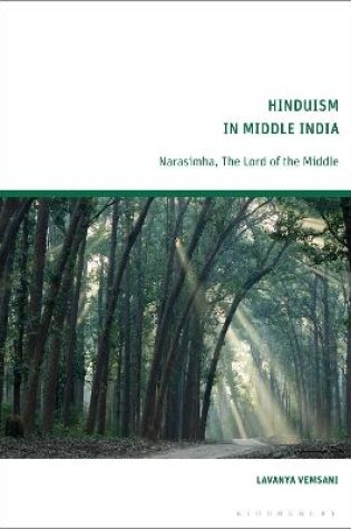 Cover of Hinduism in Middle India