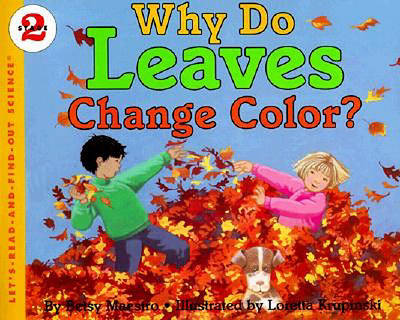 Book cover for Why Do Leaves Change Color?