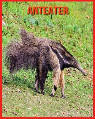 Book cover for Anteater