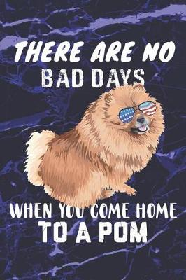 Book cover for There Are No Bad Days When You Come Home to a POM