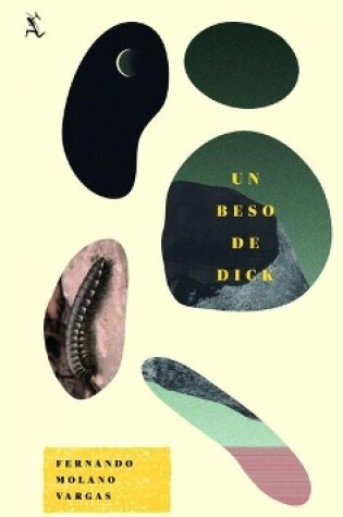 Cover of Un Beso de Dick