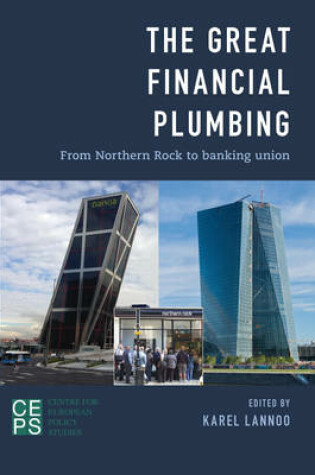 Cover of The Great Financial Plumbing