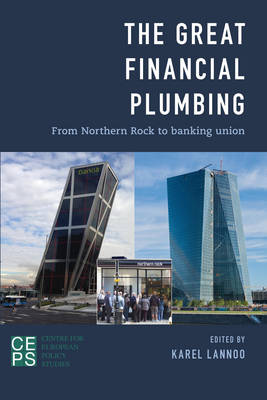 Book cover for The Great Financial Plumbing