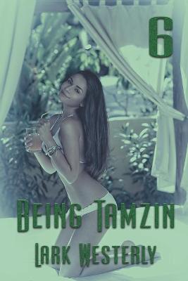 Book cover for Being Tamzin 6