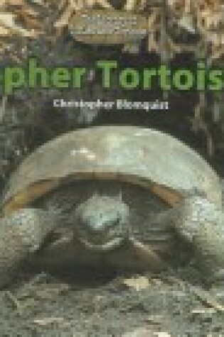 Cover of Gopher Tortoises