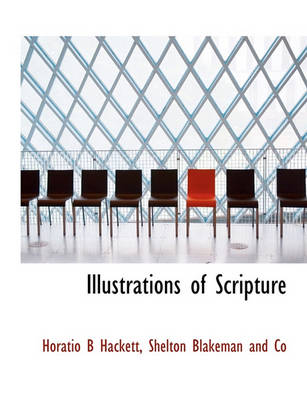 Book cover for Illustrations of Scripture