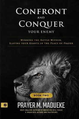 Book cover for Confront and Conquer your Enemy (Book 2)