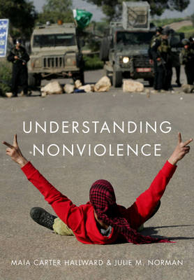 Book cover for Understanding Nonviolence