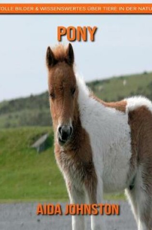 Cover of Pony