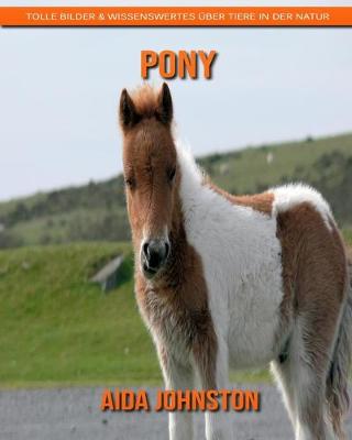 Book cover for Pony