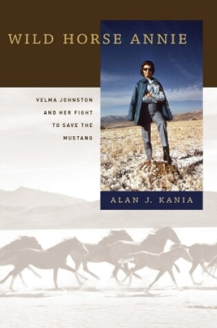 Cover of Wild Horse Annie