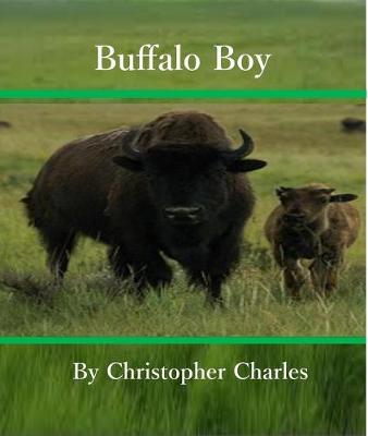 Book cover for Buiffalo Boy