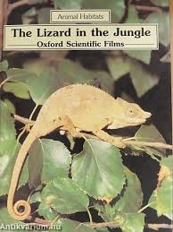 Cover of The Lizard in the Jungle