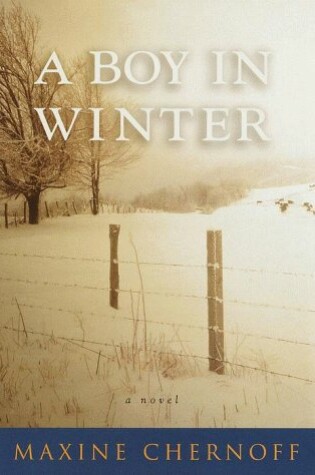 Cover of A Boy in Winter