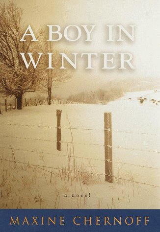 Book cover for A Boy in Winter