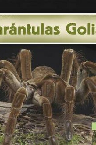 Cover of Tarantulas Goliat