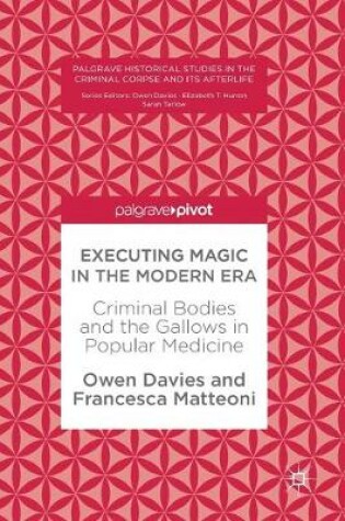 Cover of Executing Magic in the Modern Era