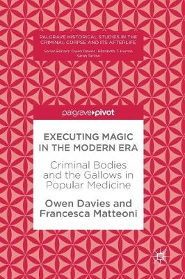 Book cover for Executing Magic in the Modern Era