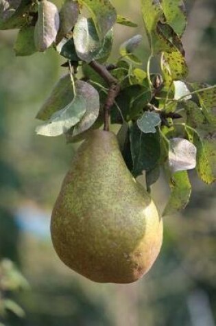 Cover of A Pear on a Pear Tree Journal