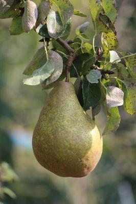 Book cover for A Pear on a Pear Tree Journal