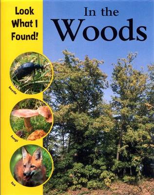 Book cover for Look What I Found in the Woods