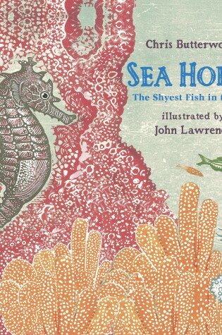 Cover of Sea Horse: The Shyest Fish in the Sea