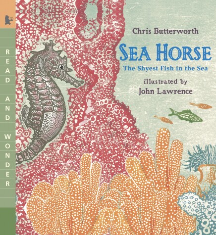 Book cover for Sea Horse: The Shyest Fish in the Sea