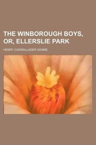 Cover of The Winborough Boys, Or, Ellerslie Park