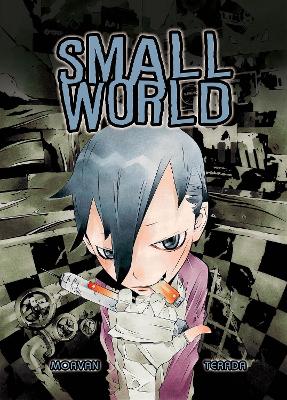 Book cover for Small World