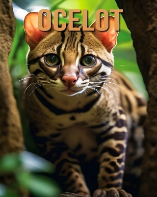 Book cover for Ocelot