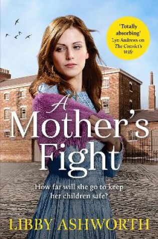 Cover of A Mother's Fight