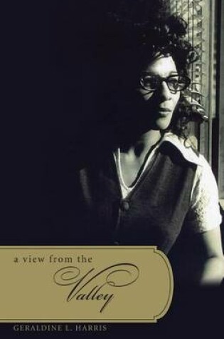 Cover of A View from the Valley