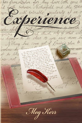 Book cover for Experience