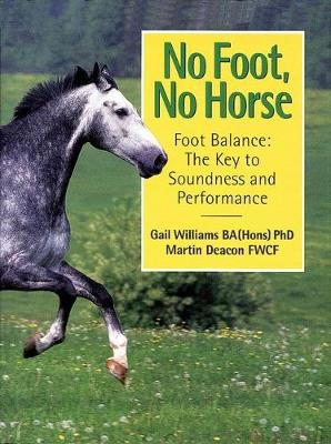 Book cover for No Foot, No Horse