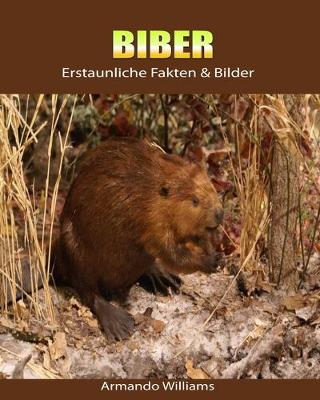 Book cover for Biber