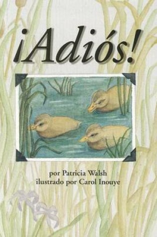 Cover of Adios!