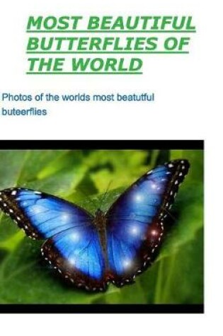 Cover of Most Beautiful Butterflies of the World