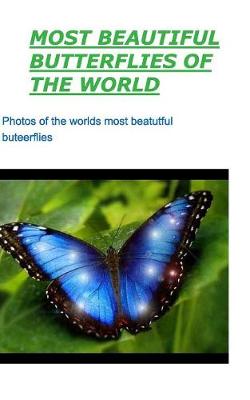 Book cover for Most Beautiful Butterflies of the World