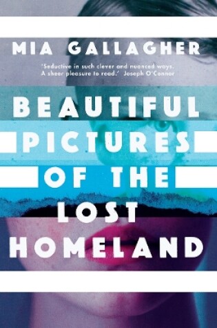 Cover of Beautiful Pictures of the Lost Homeland