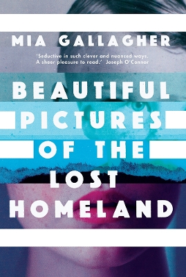 Book cover for Beautiful Pictures of the Lost Homeland