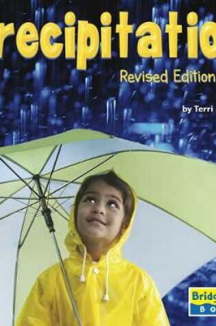 Cover of Precipitation (Weather Update)