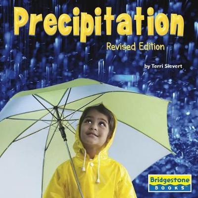 Book cover for Weather Update Precipitation