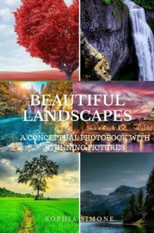 Cover of Beautiful Landscapes