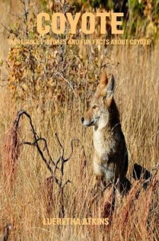 Cover of Coyote