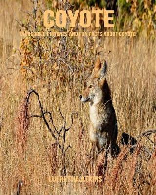 Book cover for Coyote