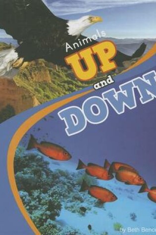 Cover of Animals Up and Down