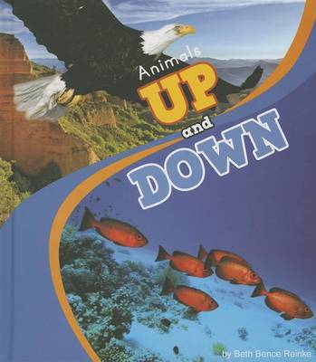 Book cover for Animals Up and Down